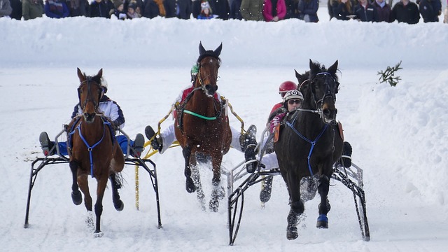 保持统治地 保持统治地