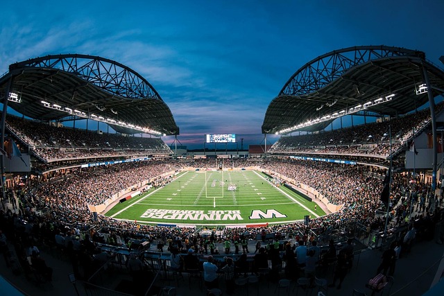 拉在场上扮 拉在场上扮