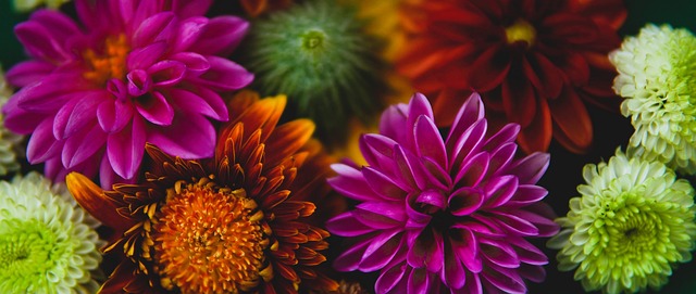 虑的策略 虑的策略