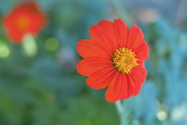 好的展示 好的展示