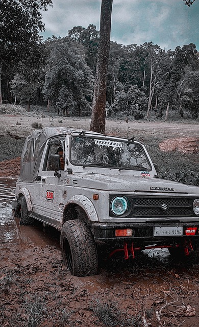 一些经典动 一些经典动