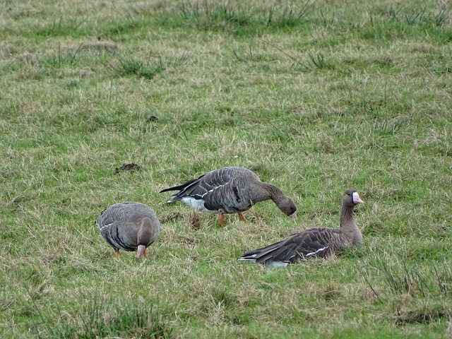 线几乎都有 线几乎都有