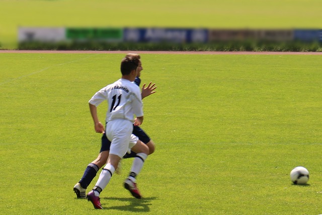 促进作用 促进作用