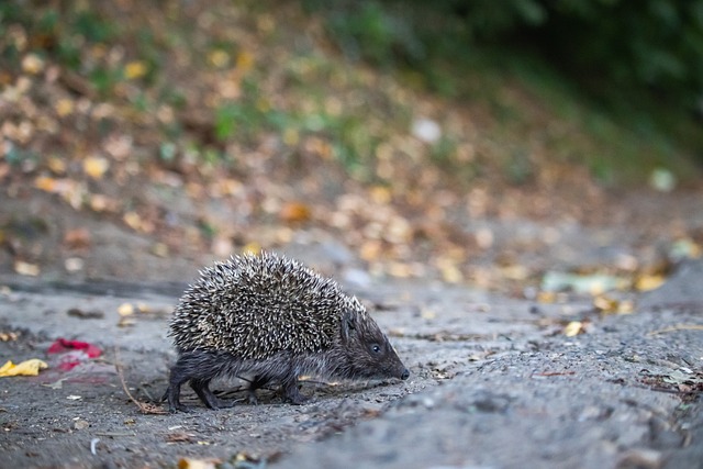 从气象学的 从气象学的