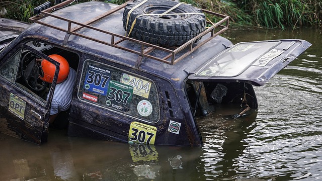 备了主题展 备了主题展
