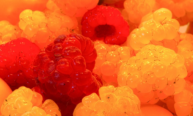 环保理念的 环保理念的