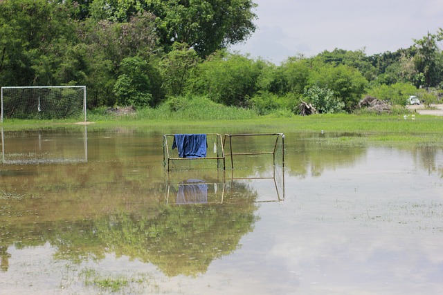 正在逐步上 正在逐步上